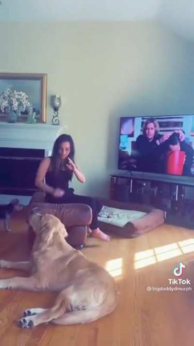 This is my favorite tik tok of all time