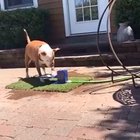 Hazel nooo...