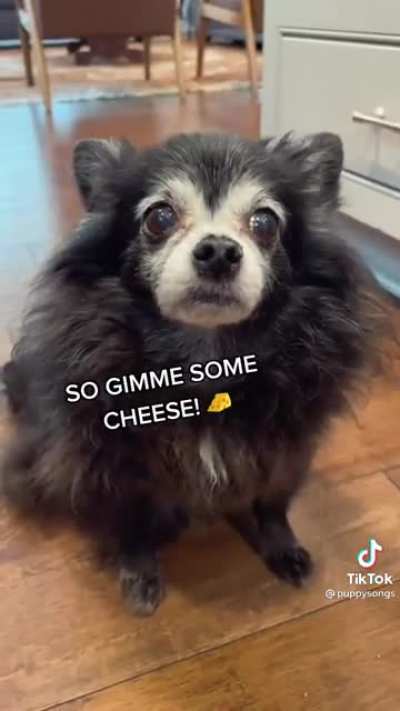 Cheese