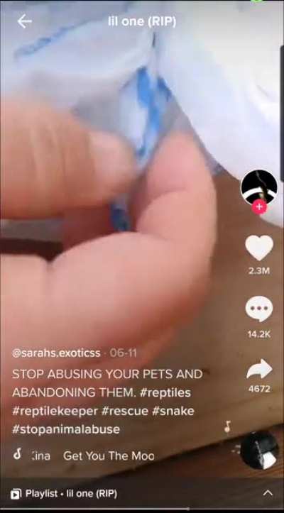 Woman abuses animals for views in fake rescue videos