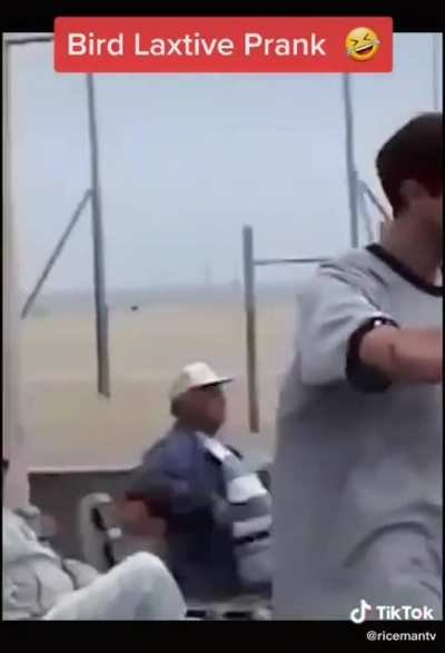 POS gives laxatives to birds and they poop on random people
