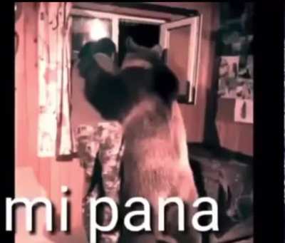 Pana 🤝.