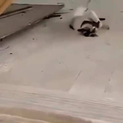 Boss fight
