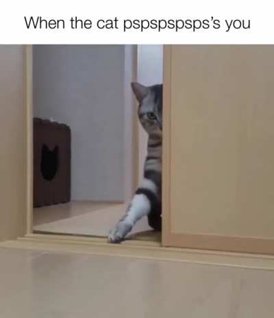 touch tha floor