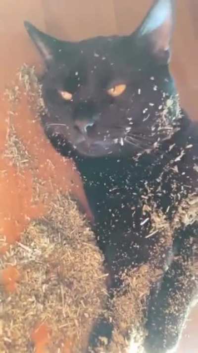 Ащщщщ...