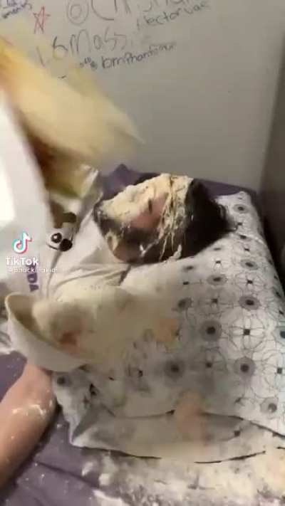 This guy gets destroyed in his bed