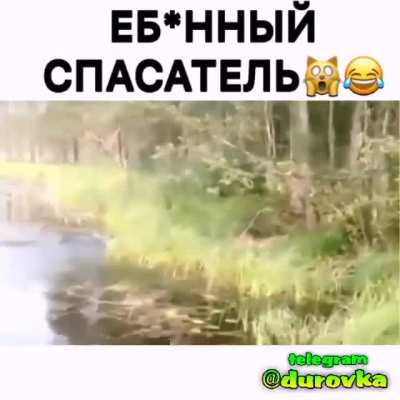 Спасти рядового барсика v 2.0. Звук обязателен