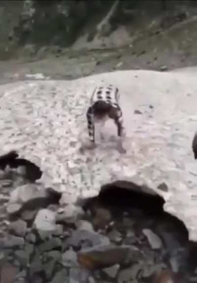 Let's fight a glacier