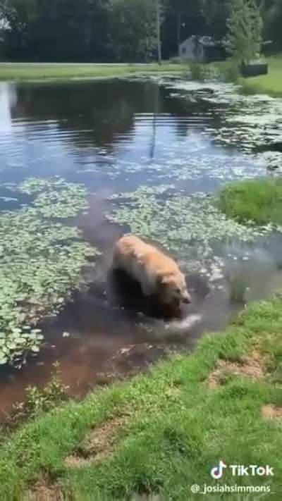UUAAAAAAAAAA