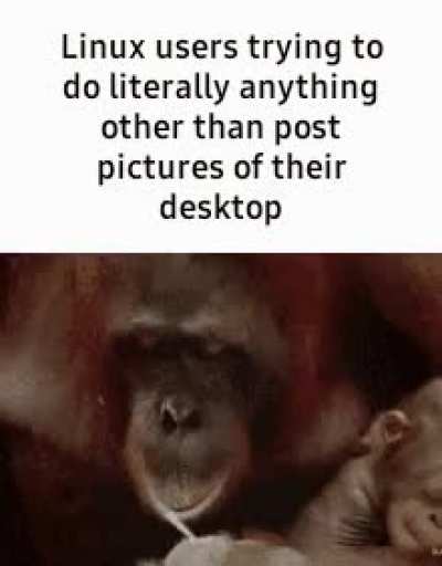Fact.