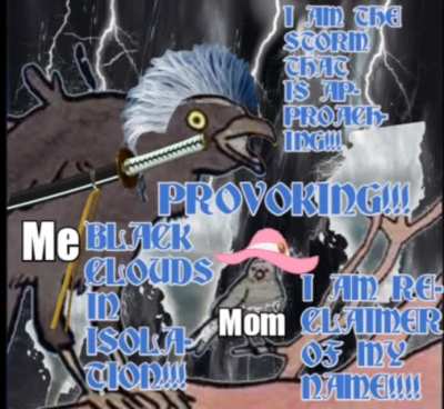 Meanwhile at my House