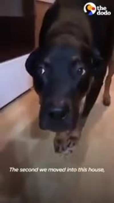 Your Stalking Best Friend