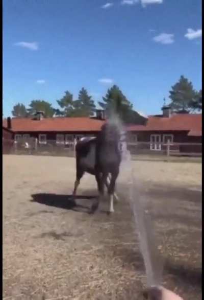 Bathing wunk
