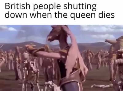 My condolences