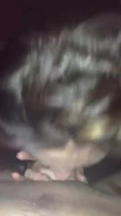 Blowjob Master