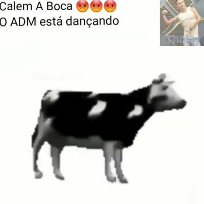Achei vídeo do legolas não contem pra ele