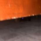 I think I found the monster under my bed