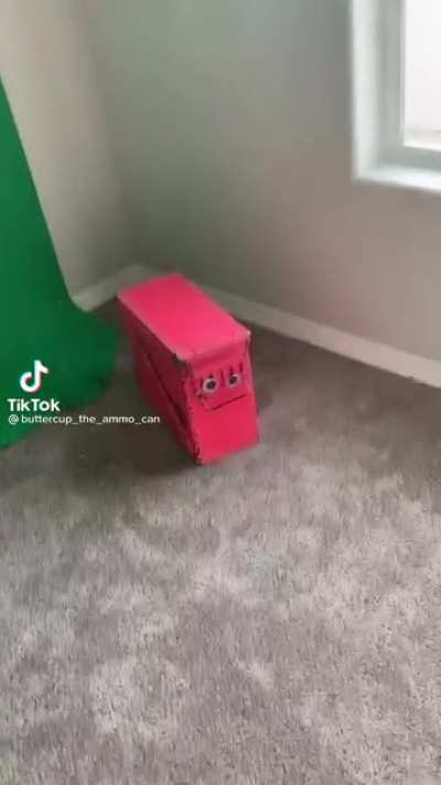 He’s not a dog