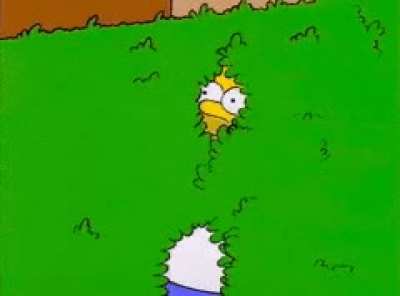 When you come to Reddit to spread some light-hearted racism and have a chuckle but everyone's talking about the collapse of America.