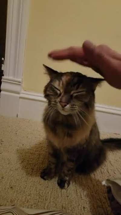 My 12 yo princess enjoys her pets