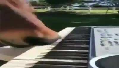 Honse playing piano