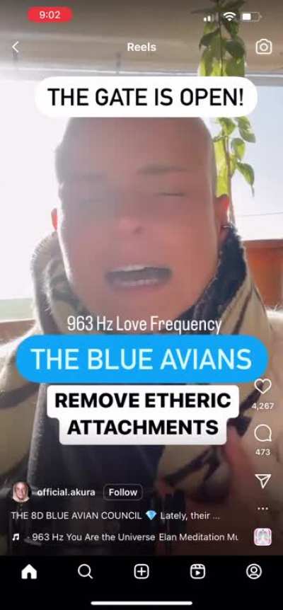 Cringy but relaxing?
