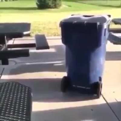 Just a normal trash container thing