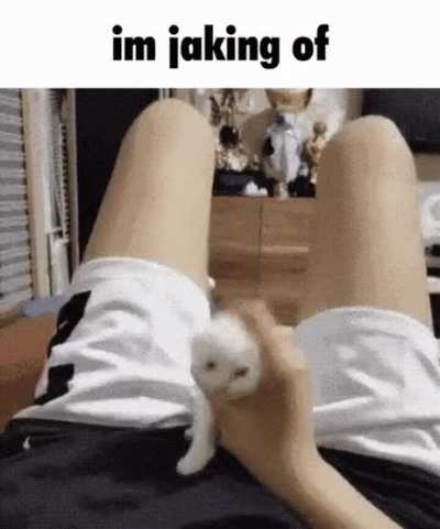jaking of