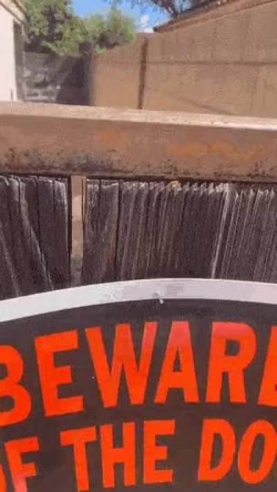 Beware of the dog