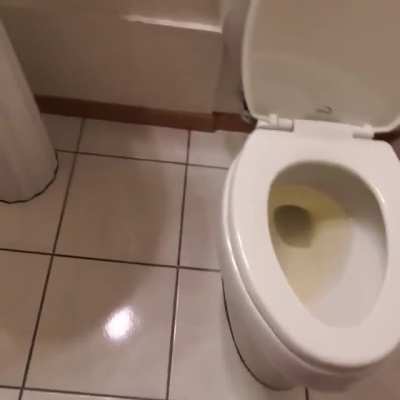 Igualzinho o Lobinho e o Rui...