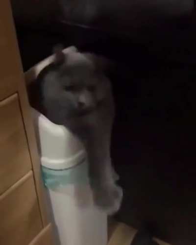 Boing