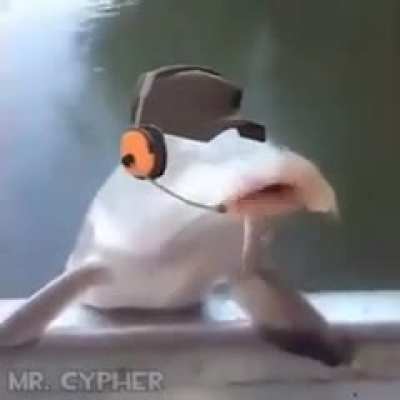 Fįßhë