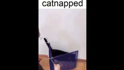 get yoinked