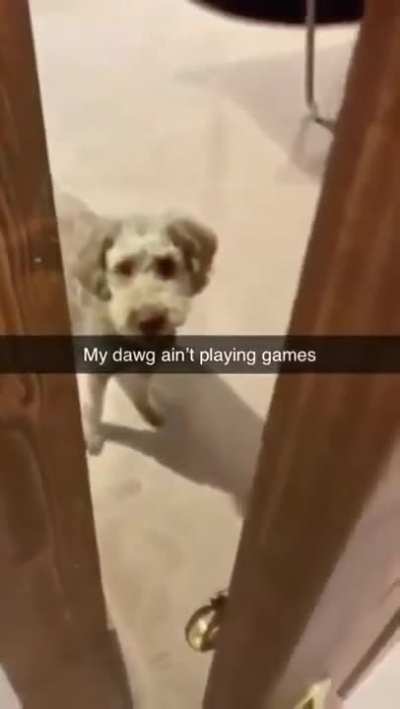 he ain't playing games 