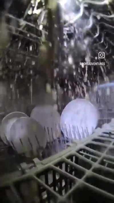 This is what happens inside a dishwasher
