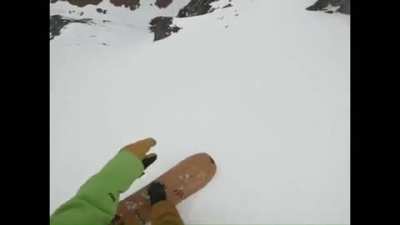 Dog goes snowboarding