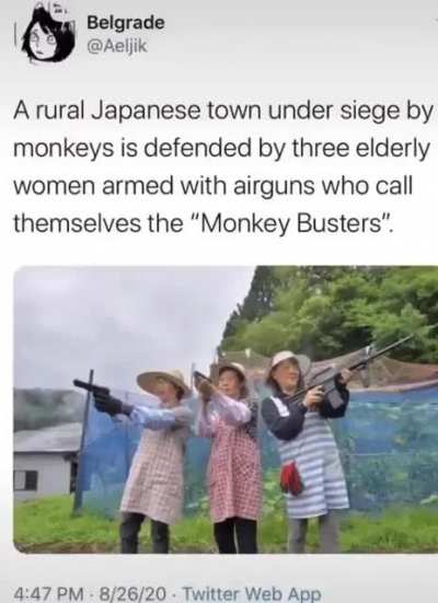 Had to be iFunny huh?