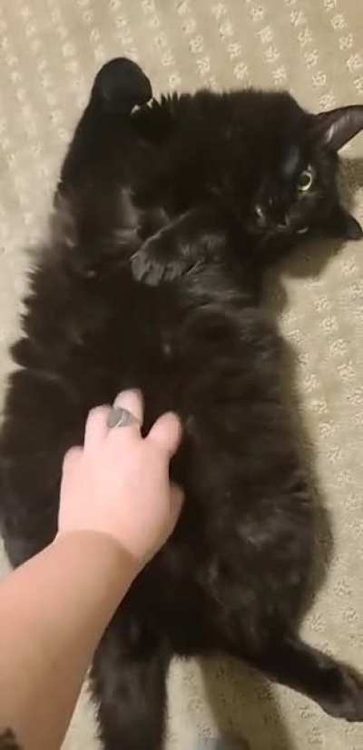 it's a TRAP