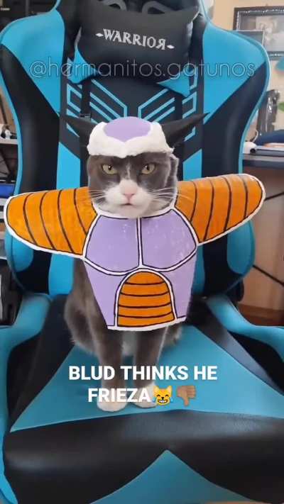 🗿