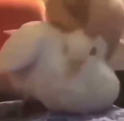 Berd