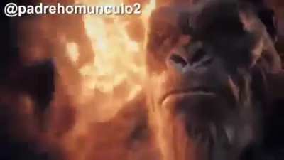 🗿