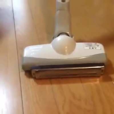 Well this definitely sucks
