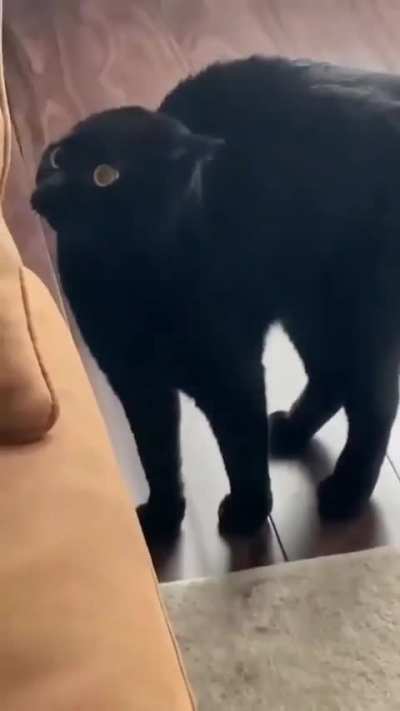 He knows it’s wrong, but still doing it