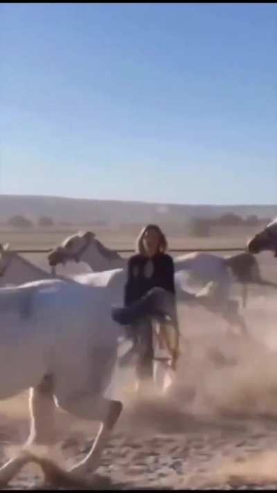 Sexy model and a stampede WCGW?