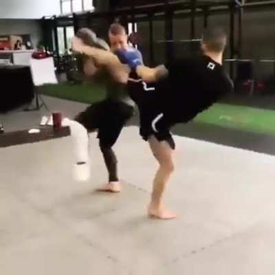 Cobra Kai 
