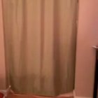 When your cat is hyperactive