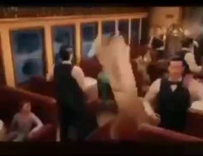 Moldy Polar Express