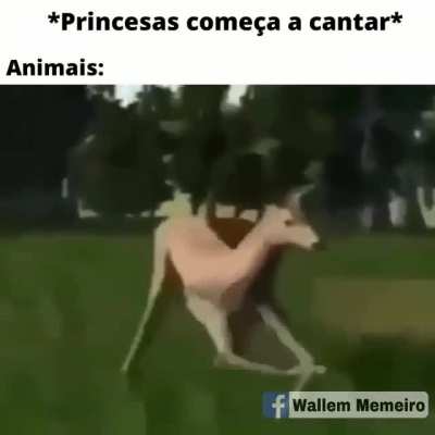 LERIGO CARAAAI