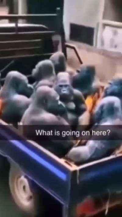 le 🗿