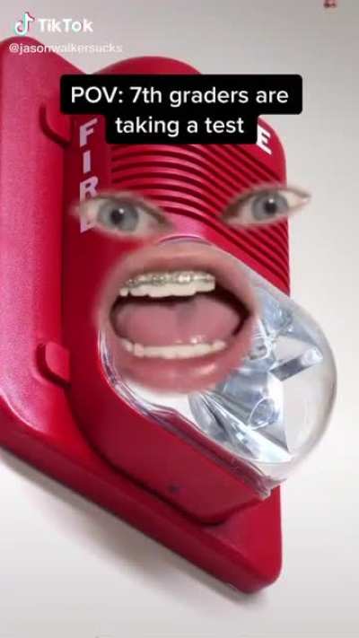 Not really a scream but funny